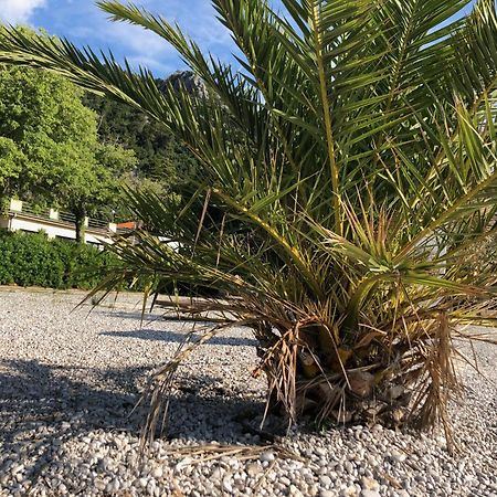 Villa Sabine Apartment Losinj Medveja Bagian luar foto